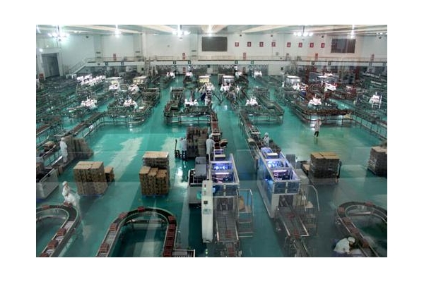 全自動(dòng)食品/藥品/日用品后段包裝生產(chǎn)線(xiàn)